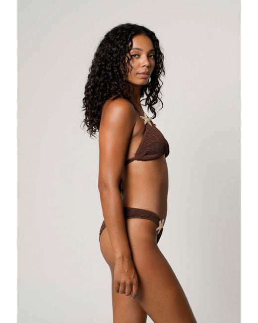 Moda Minx Brown Bikinitop