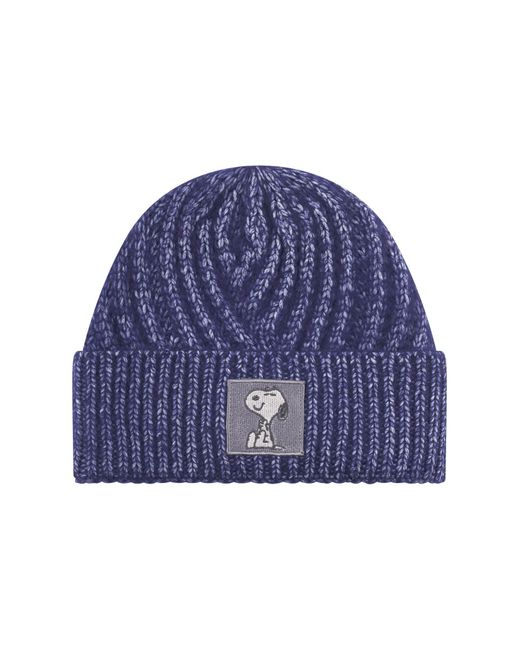 Codello Mütze in Blue für Herren