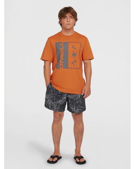 O'neill Sportswear Oneill Badeshorts Cali in Gray für Herren