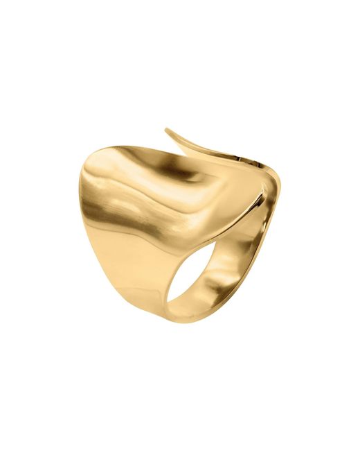 Heideman Metallic Ring