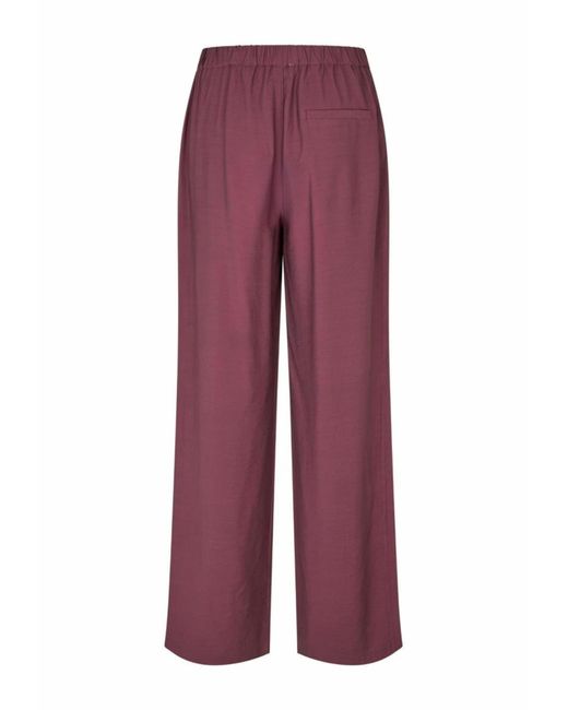 Modström Purple Trouser Nickimd