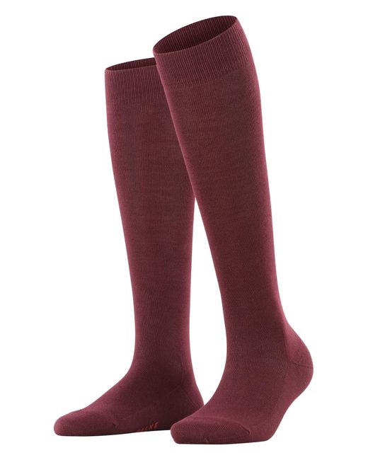 Falke Red Kniestrümpfe Family