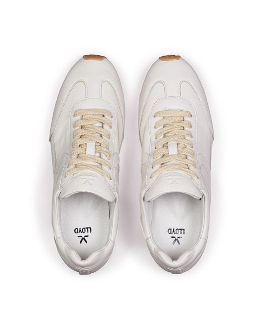 Lloyd White Sneaker Velocity