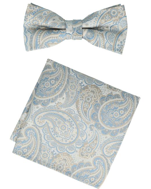 Willen Fliege Set Paisley in Blue für Herren