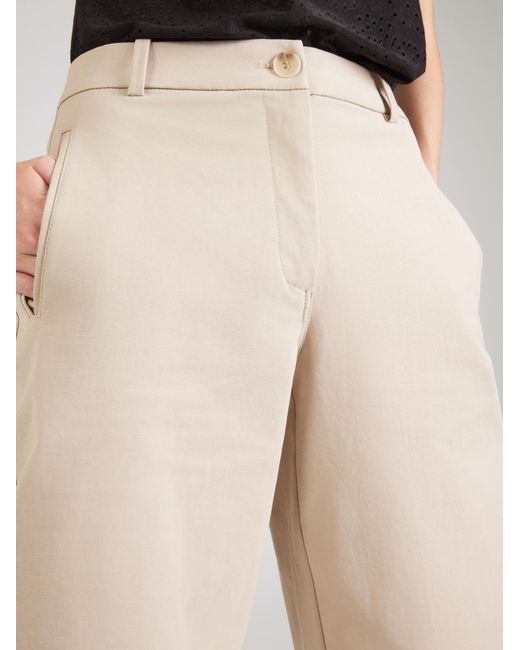 Object Natural Hose Objmilly