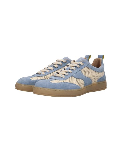 Salamander Blue Sneaker