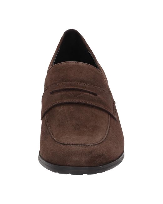 Sioux Brown Pumps