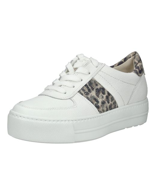 Paul Green Gray Sneaker