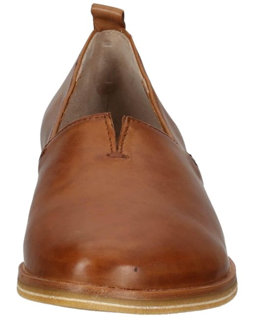 Everybody Brown Slipper
