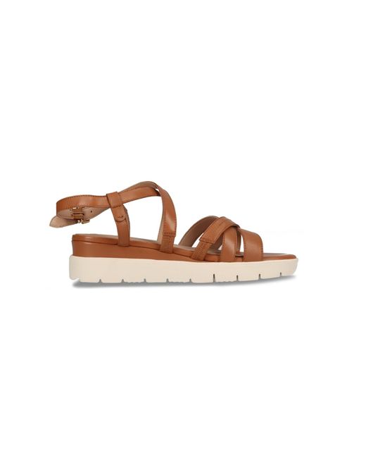 Salamander Brown Sandale