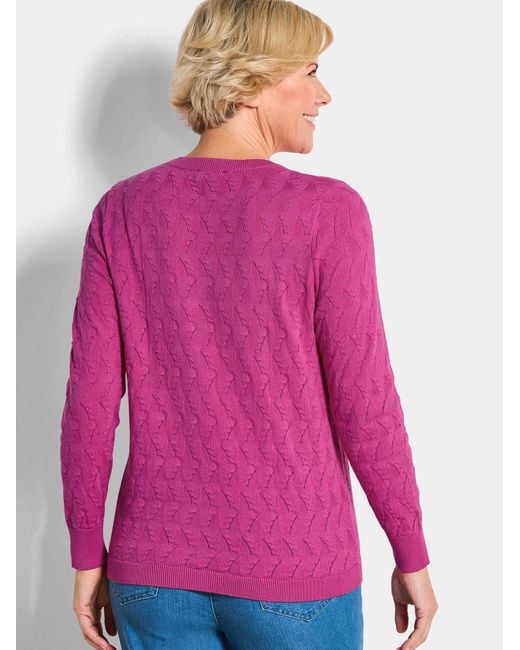 Goldner Pink Pullover