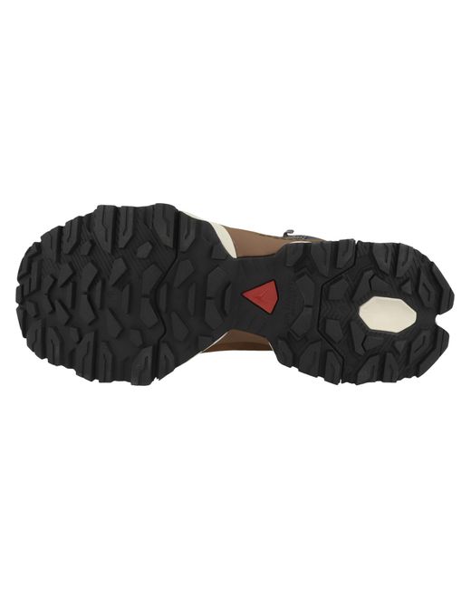 Dachstein Brown Sneaker