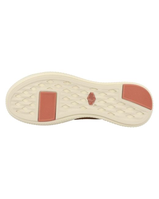 Palladium Brown Sneaker 'Pallanova'