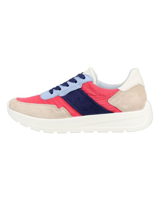 Ara Blue Sneaker