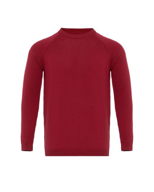 Antioch Pullover in Red für Herren