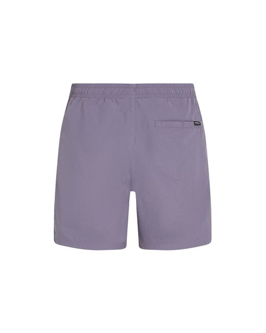 O'neill Sportswear Oneill Badeshorts Vert 16 in Purple für Herren