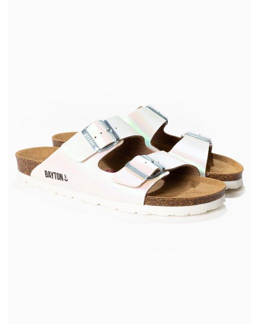 Bayton White Mules 'Athena'