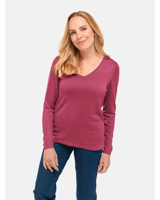 Goldner Pink Pullover
