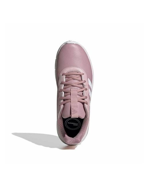 Adidas Purple Sneaker Cloudfoam Flex