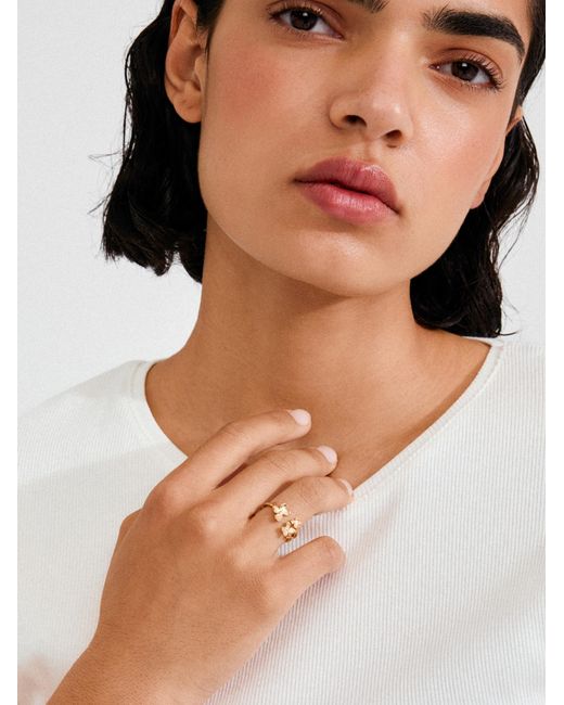 Pilgrim Metallic Ring Ajani