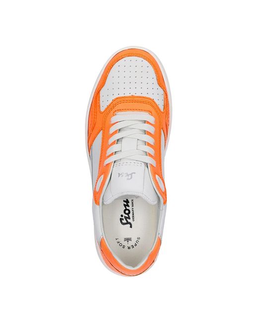 Sioux Orange Sneaker Tedroso-Da-700