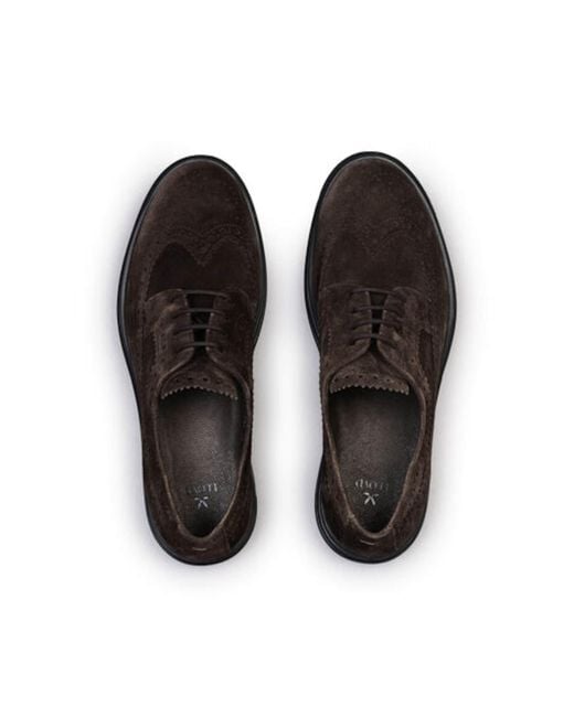 Lloyd Black Budapester Azure