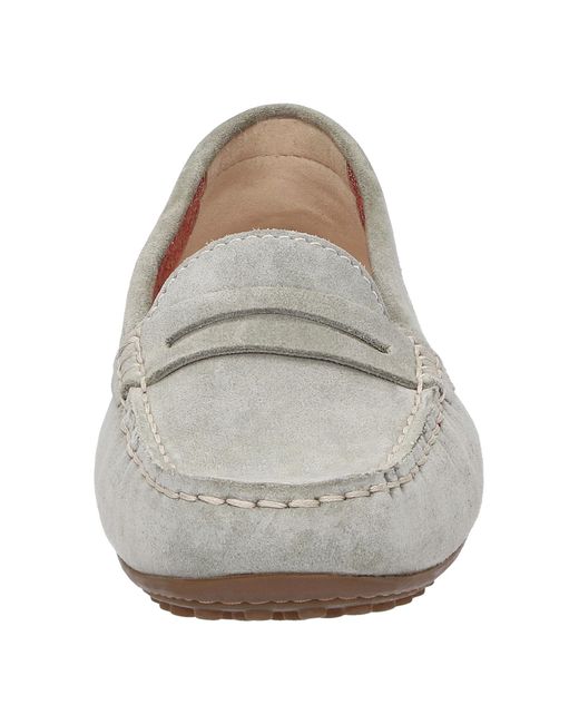 Sioux Gray Mokassin Cacciola