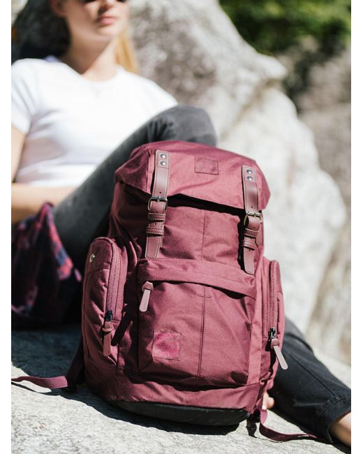 Nitro Rucksack Daypacker in Purple für Herren