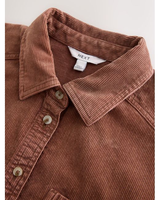 Next Brown Bluse