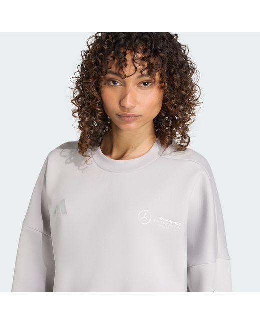 Adidas Originals Gray Sportsweatshirt Mercedes