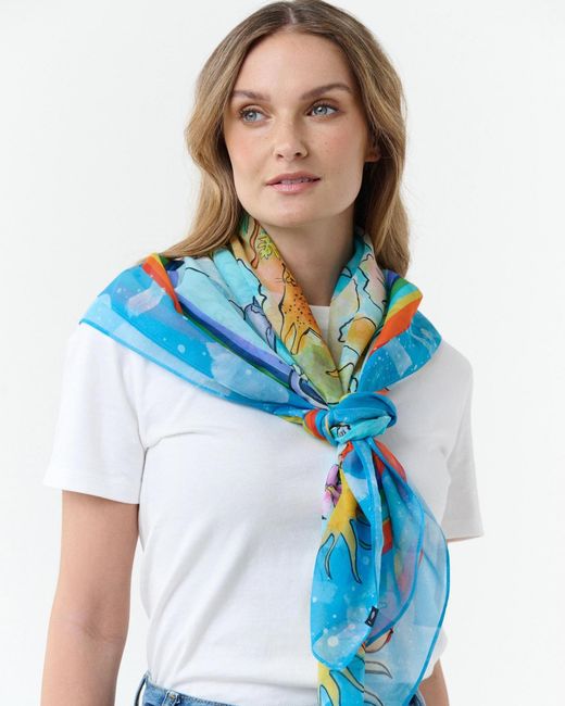Fraas Blue Tuch