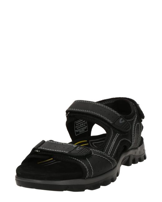 Camel Active Trekkingsandale in Black für Herren