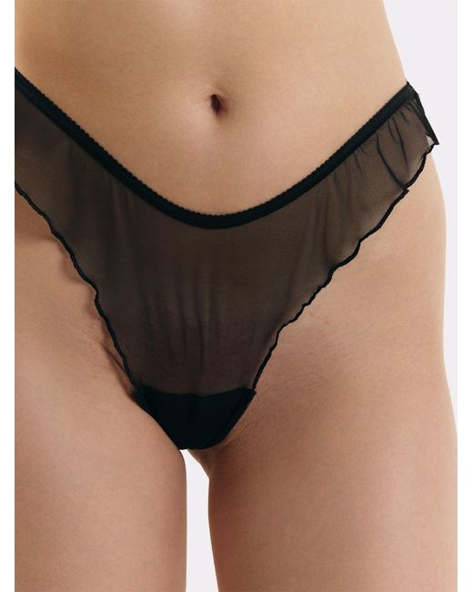 erlich textil Gray String Iconic