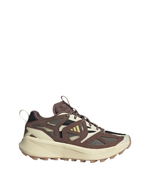 Adidas Brown Sneaker Kantai