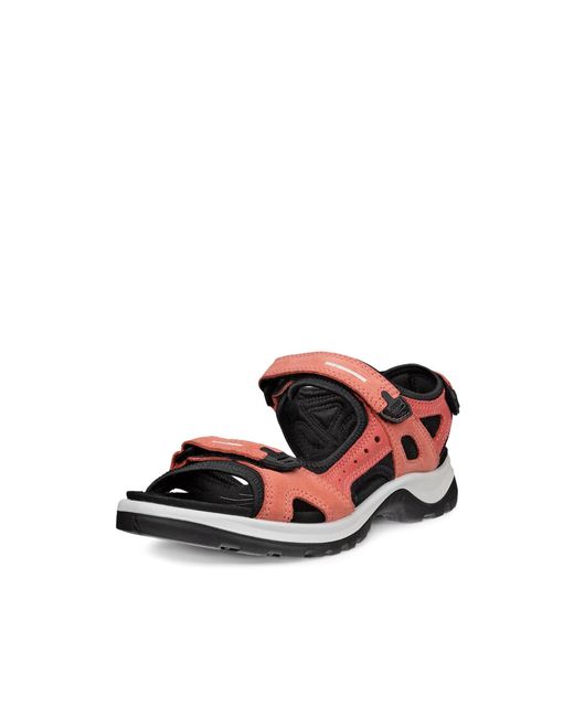 Ecco White Trekkingsandale Offroad