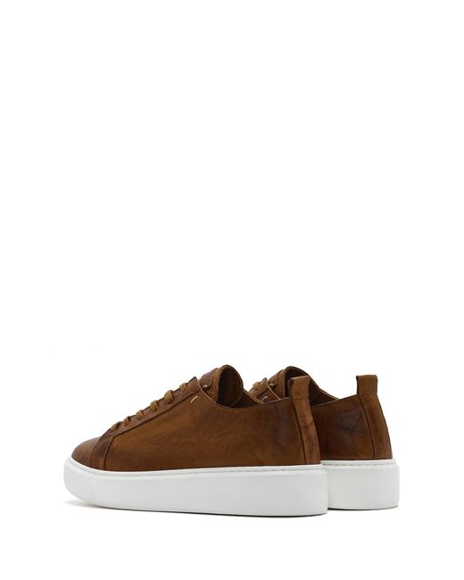 Derimod Sneaker in Brown für Herren