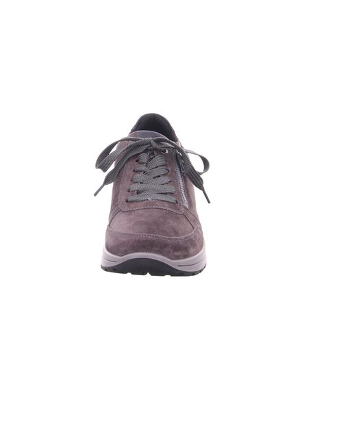 Ara Sneaker in Purple für Herren