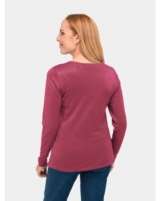 Goldner Pink Pullover