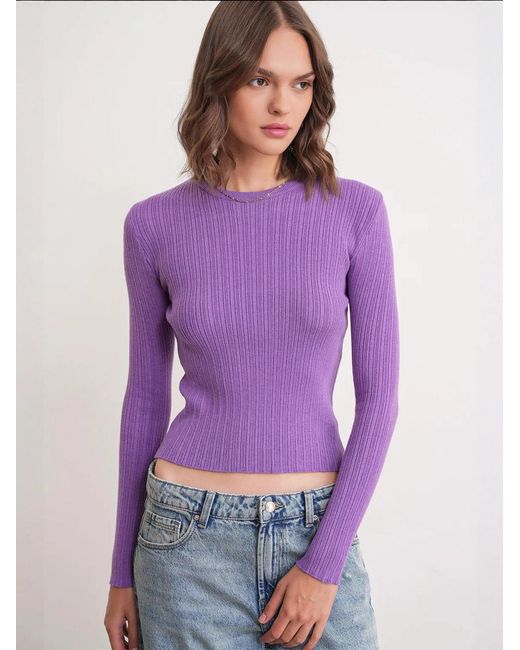 MixRay Purple Pullover