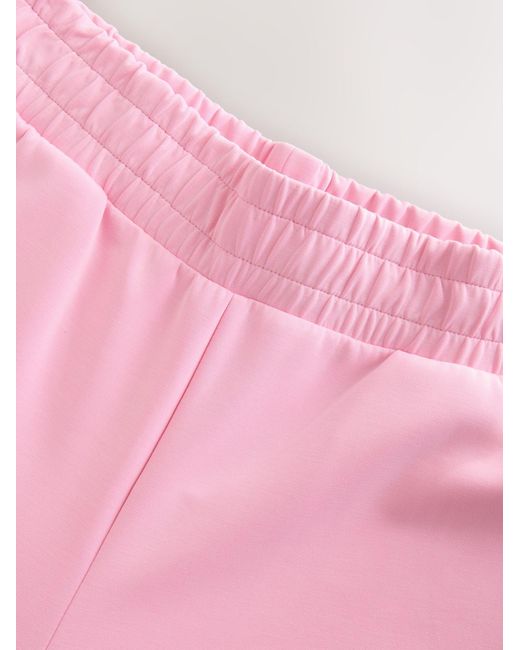 Next Pink Hose