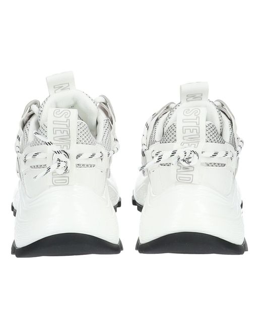 Steve Madden White Sneaker 'Tazmania'