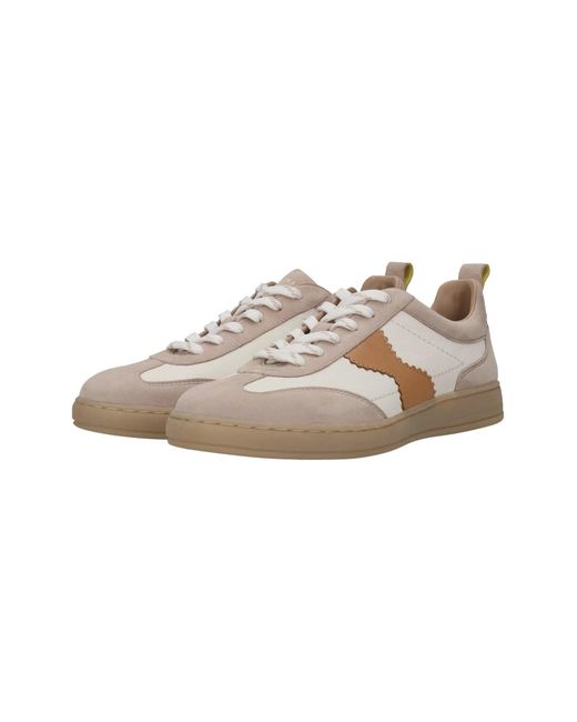 Salamander Multicolor Sneaker