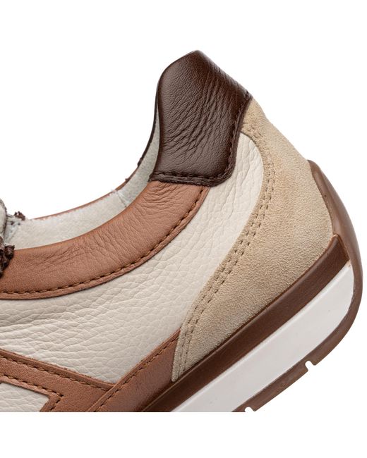 Ara Brown Sneaker