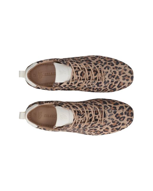 Salamander Brown Sneaker