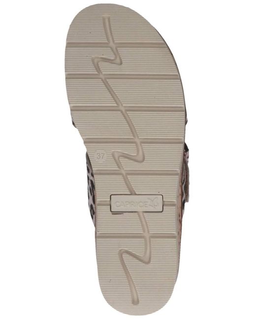 Caprice Brown Pantolette