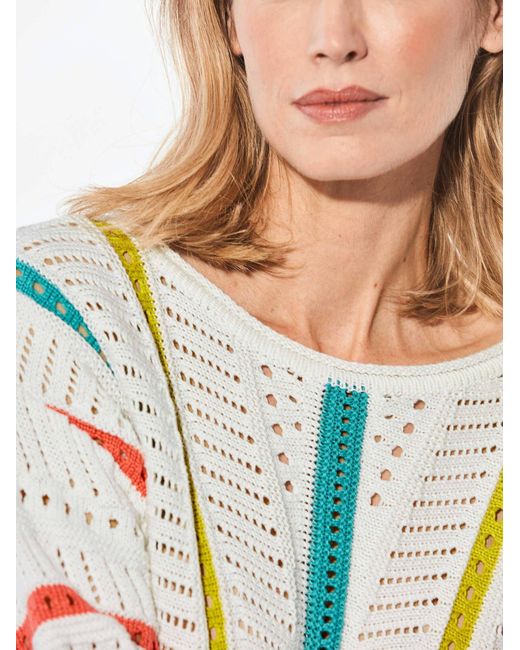 Goldner Blue Pullover