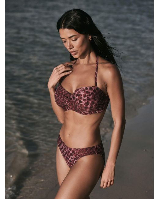 Next Purple Bikinitop