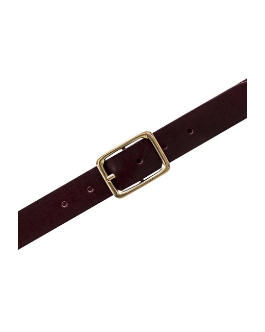 Vanzetti Brown Gürtel