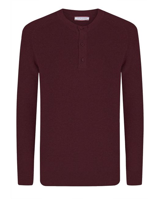 Felix Hardy Pullover in Purple für Herren