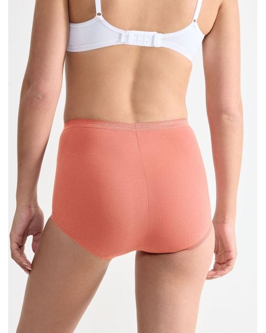 Sloggi Multicolor Midislip Basic